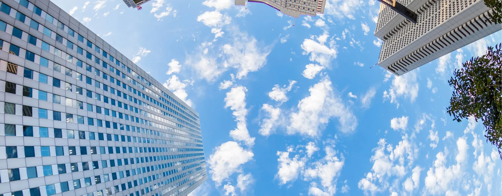 🚀 中小食品メーカー様へ:「大企業並み」の効率化を低コストで実現する方法